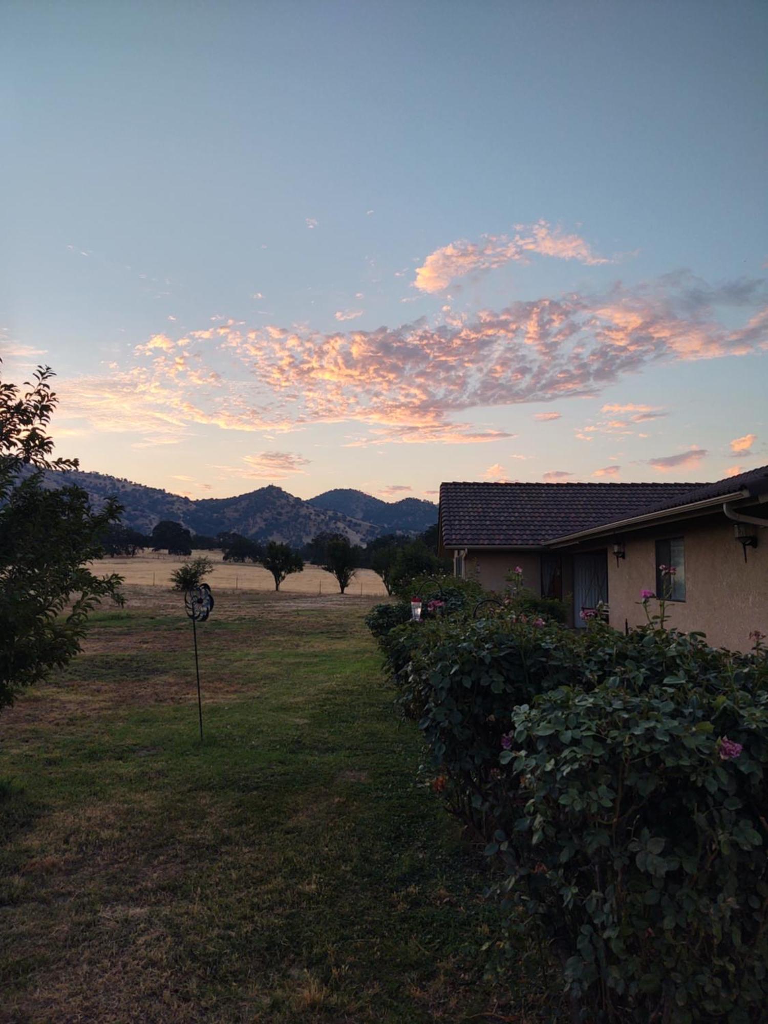 The Branded Calf Bed & Breakfast Yokuts Valley  Esterno foto