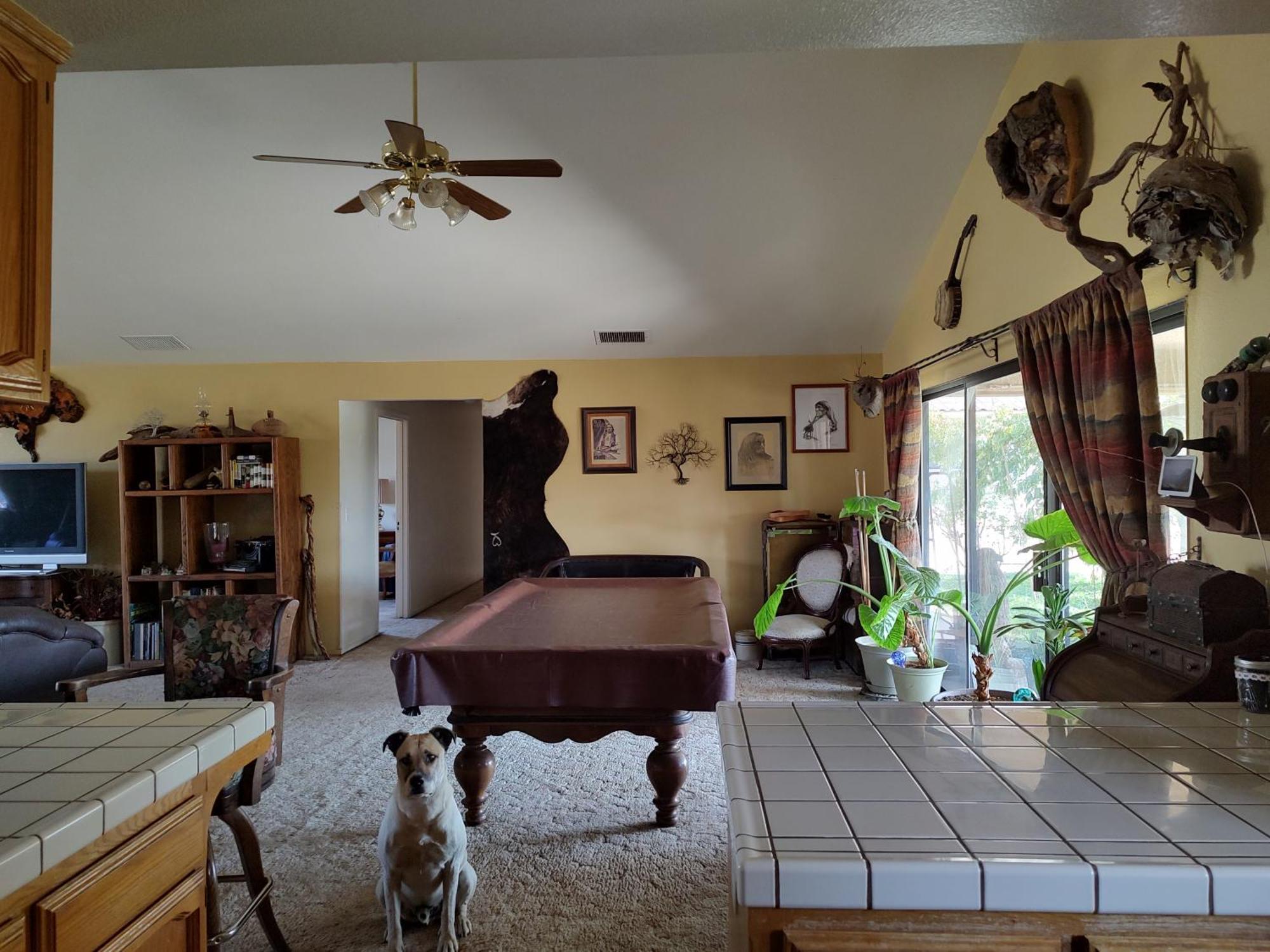 The Branded Calf Bed & Breakfast Yokuts Valley  Esterno foto