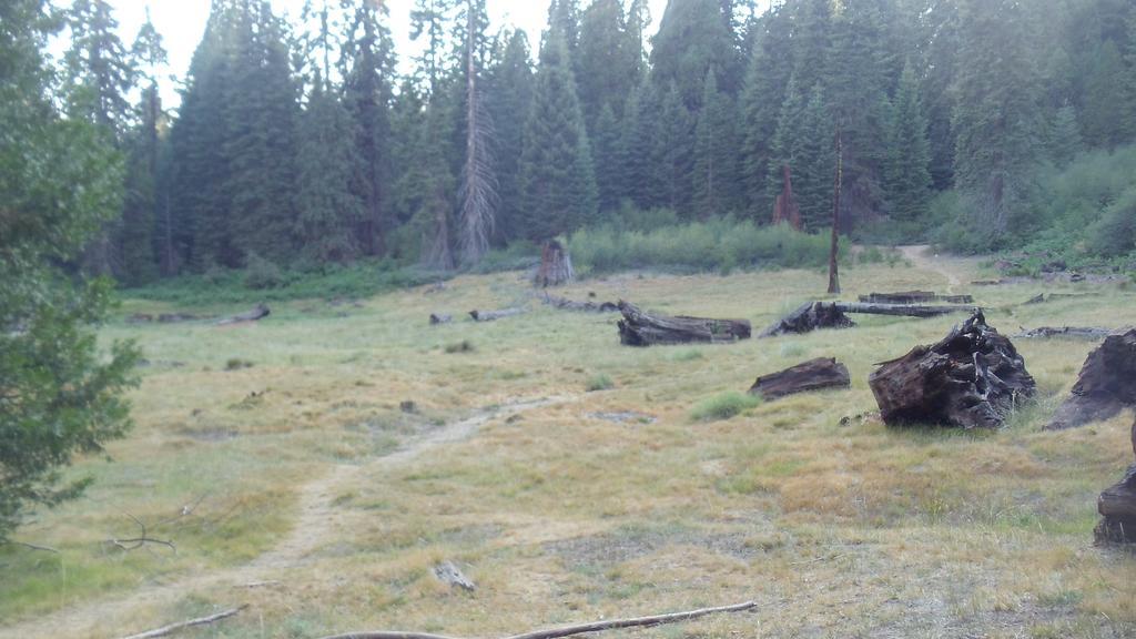 The Branded Calf Bed & Breakfast Yokuts Valley  Esterno foto