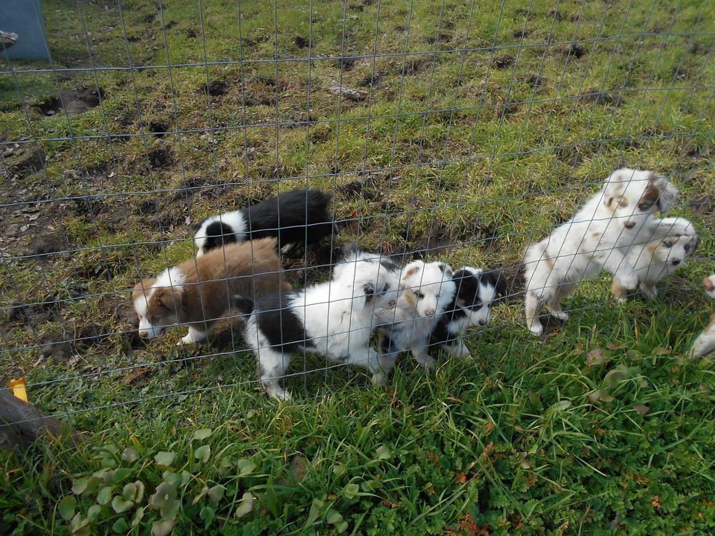 The Branded Calf Bed & Breakfast Yokuts Valley  Esterno foto
