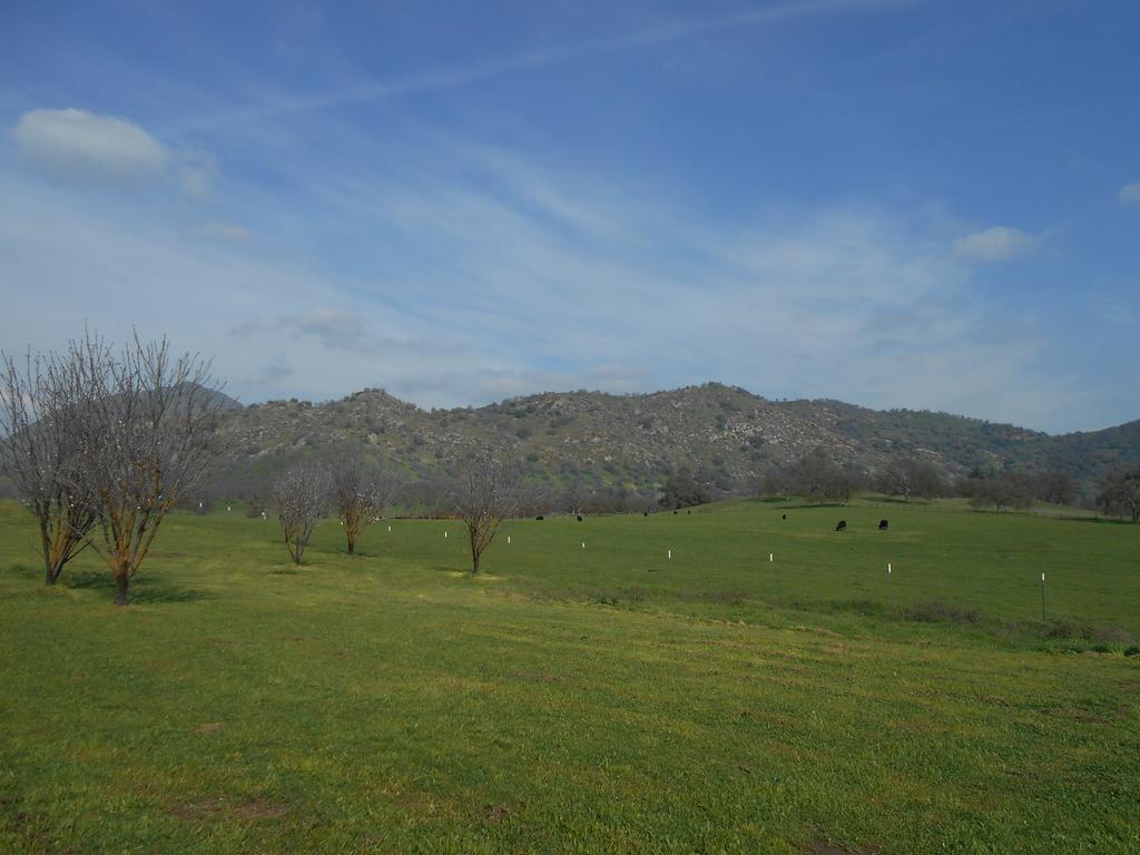The Branded Calf Bed & Breakfast Yokuts Valley  Esterno foto