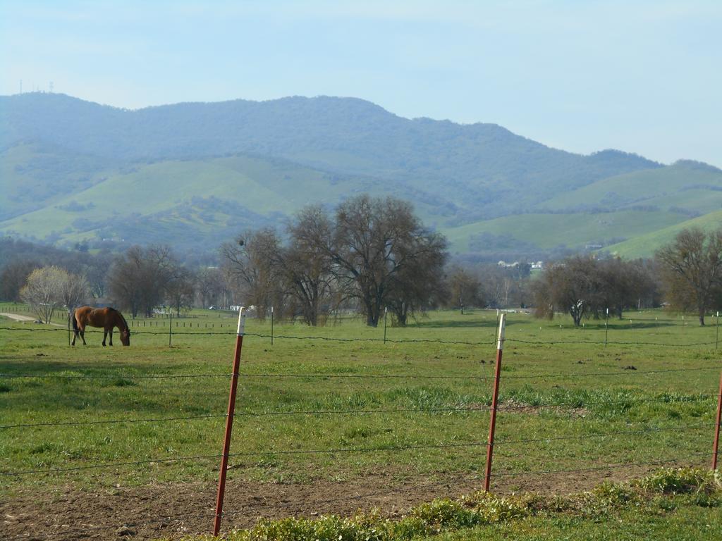 The Branded Calf Bed & Breakfast Yokuts Valley  Esterno foto