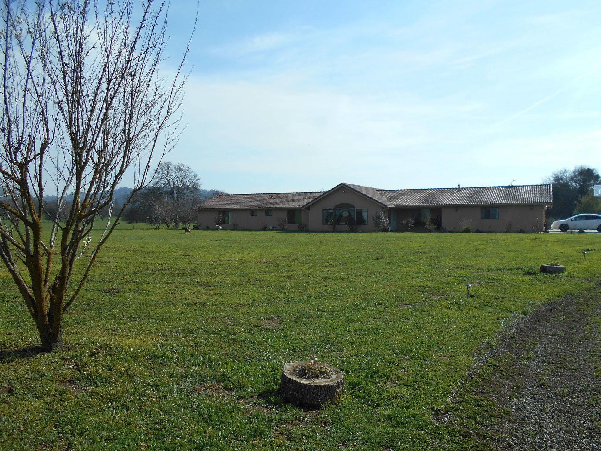 The Branded Calf Bed & Breakfast Yokuts Valley  Esterno foto