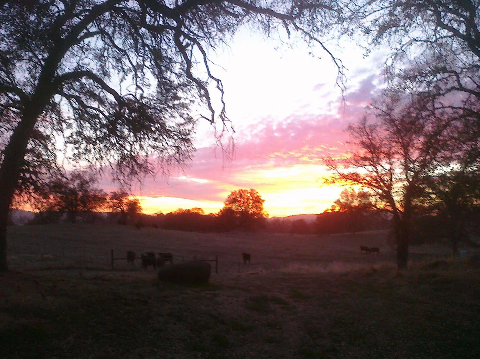 The Branded Calf Bed & Breakfast Yokuts Valley  Esterno foto